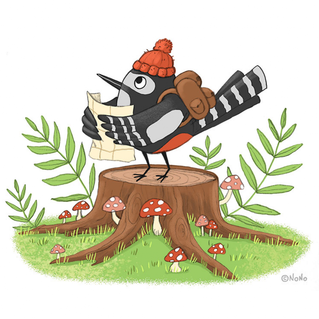 dessin oiseau en couleur