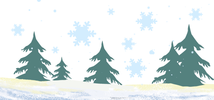 Bonne année 2025 ! Bonne année 2025 !