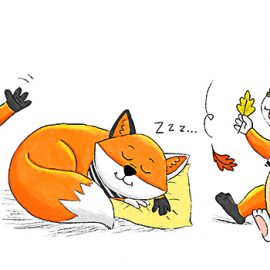 Doudou renard 🦊 Doudou renard 🦊