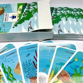 Découvrez les dessins de mes 2 premiers jeux de cartes !