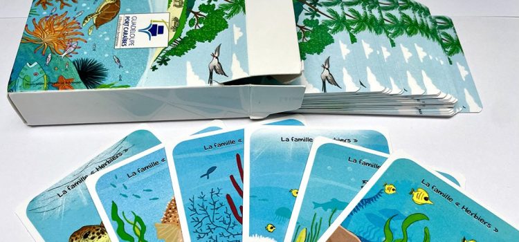 Découvrez les dessins de mes 2 premiers jeux de cartes !